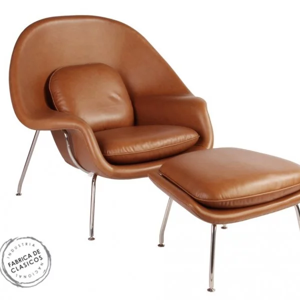 SILLON-WOMB1 Sillon Womb1